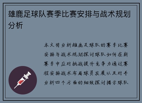 雄鹿足球队赛季比赛安排与战术规划分析
