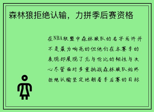 森林狼拒绝认输，力拼季后赛资格