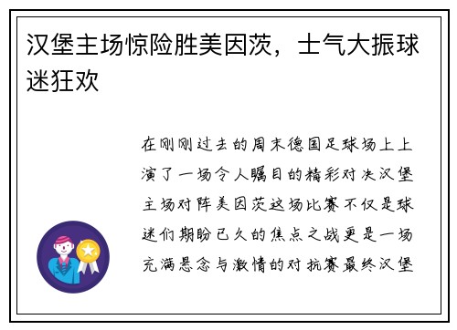 汉堡主场惊险胜美因茨，士气大振球迷狂欢